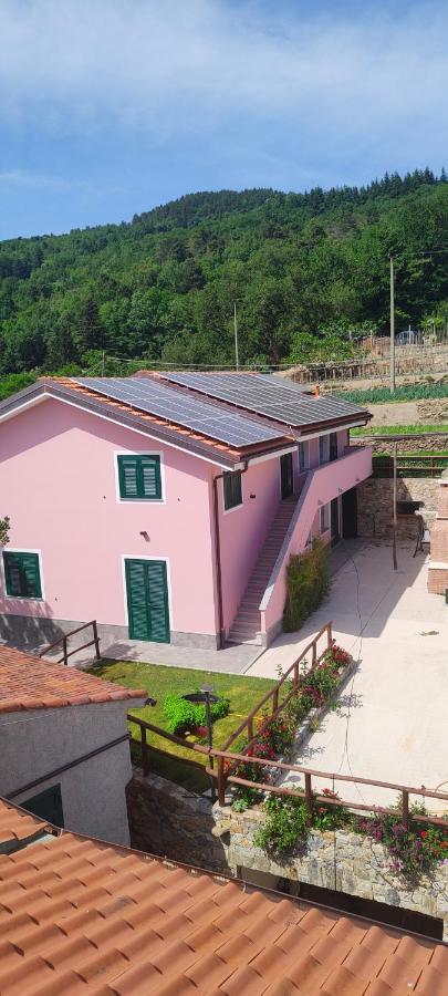Agriturismo Ca' Du Nibile Di Bove Gabriele Carbuta Luaran gambar